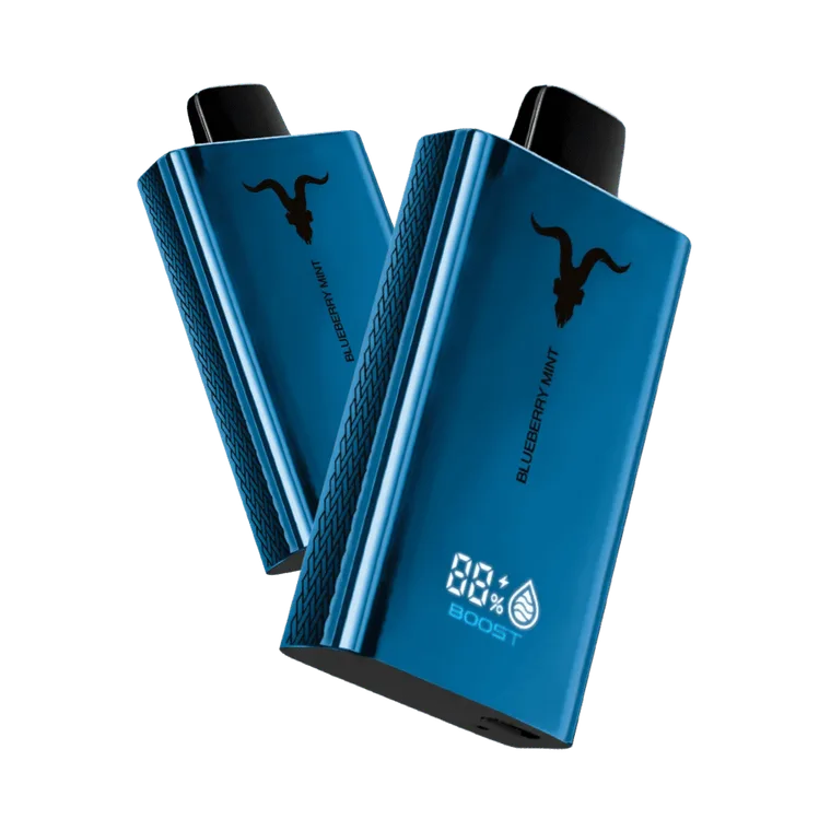 Blueberry Mint Ignite